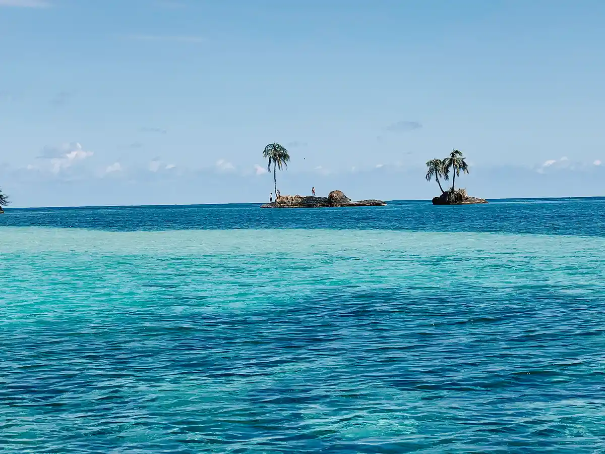 Snorkeling around Bocas del Toro